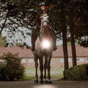 Kavalkade Coraza/Silla de montar Horselight Negro Gris Kavalkade Coraza/Silla de montar Horselight Negro Gris