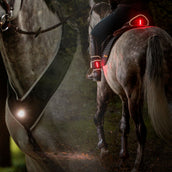 Kavalkade Coraza/Silla de montar/Pierna Horselight Negro Gris Kavalkade Coraza/Silla de montar/Pierna Horselight Negro Gris