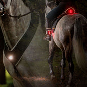 Kavalkade Coraza/Silla de montar/Pierna Horselight Negro Gris Kavalkade Coraza/Silla de montar/Pierna Horselight Negro Gris