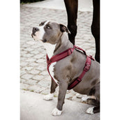 Kentucky Dogwear Arnés Active Velvet Bordeaux Kentucky Dogwear Arnés Active Velvet Bordeaux