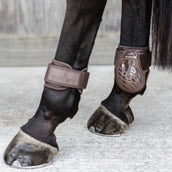 Kentucky Horsewear Botas para menudillo Young Horse Marron Kentucky Horsewear Botas para menudillo Young Horse Marron