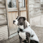 Kentucky Dogwear Abrigo para Perro Waterproof 160g Dusty Blue Kentucky Dogwear Abrigo para Perro Waterproof 160g Dusty Blue