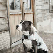 Kentucky Dogwear Abrigo para Perro Waterproof 160g Dusty Blue Kentucky Dogwear Abrigo para Perro Waterproof 160g Dusty Blue