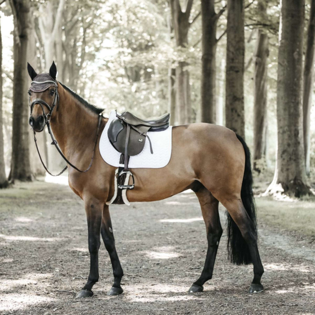 Kentucky Horsewear Mantilla de Salto Fishbone Blanco Kentucky Horsewear Mantilla de Salto Fishbone Blanco