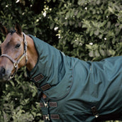 Kentucky Horsewear Manta de Invierno All Weather 160g Verde Oscuro Kentucky Horsewear Manta de Invierno All Weather 160g Verde Oscuro