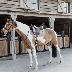 Kentucky Horsewear Mantilla Skin Friendly Velvet Saltando Beige Kentucky Horsewear Mantilla Skin Friendly Velvet Saltando Beige