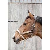 Kentucky Horsewear Cabezada Anatomic Nylon Beige Kentucky Horsewear Cabezada Anatomic Nylon Beige