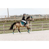 Kentucky Horsewear Botas para tendones Bamboo Elastic Español (ES): piel de oveja vegana Esmeralda Kentucky Horsewear Botas para tendones Bamboo Elastic Español (ES): piel de oveja vegana Esmeralda