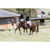 Kentucky Horsewear Botas para tendones Bamboo Elastic Español (ES): piel de oveja vegana Rosa Viejo Kentucky Horsewear Botas para tendones Bamboo Elastic Español (ES): piel de oveja vegana Rosa Viejo