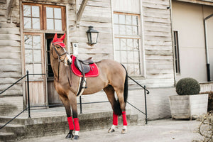 Kentucky Velvet Rojo Kentucky Velvet Rojo