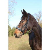 Kerbl Cabezón Exklusiv Cuero incl. correa de embocadura Negro Kerbl Cabezón Exklusiv Cuero incl. correa de embocadura Negro