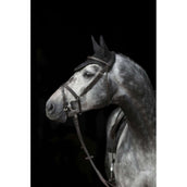 Covalliero Bonete para Orejas Empara Negro Covalliero Bonete para Orejas Empara Negro