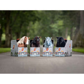 LeMieux Mini poni Mini Pony Flash Piel de aragneau LeMieux Mini poni Mini Pony Flash Piel de aragneau