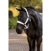 LeMieux Cabezada Versailles Lilac LeMieux Cabezada Versailles Lilac