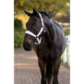 LeMieux Cabezada Versailles Lilac LeMieux Cabezada Versailles Lilac