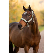 LeMieux Cabezada Essence Rosemary LeMieux Cabezada Essence Rosemary