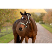 LeMieux Cabezada Essence Rosemary LeMieux Cabezada Essence Rosemary