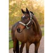 LeMieux Cabezada Essence Rosemary LeMieux Cabezada Essence Rosemary