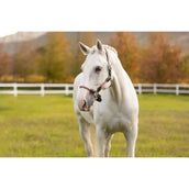 LeMieux Cabezada Ropella Cranberry LeMieux Cabezada Ropella Cranberry