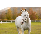 LeMieux Cabezada Ropella Cranberry LeMieux Cabezada Ropella Cranberry