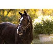 LeMieux Cabezada Ropella Lilac LeMieux Cabezada Ropella Lilac