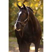 LeMieux Cabezada Ropella Lilac LeMieux Cabezada Ropella Lilac