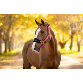 LeMieux Juego de Cabestro Vogue Cranberry LeMieux Juego de Cabestro Vogue Cranberry