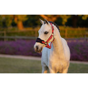 LeMieux Juego de Cabestro Mini Vogue Cranberry LeMieux Juego de Cabestro Mini Vogue Cranberry