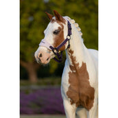 LeMieux Juego de Cabestro Mini Vogue Juniper LeMieux Juego de Cabestro Mini Vogue Juniper