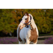 LeMieux Juego de Cabestro Mini Vogue Juniper LeMieux Juego de Cabestro Mini Vogue Juniper