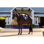 LeMieux Mantilla Merino Loire Classic saltando Juniper LeMieux Mantilla Merino Loire Classic saltando Juniper