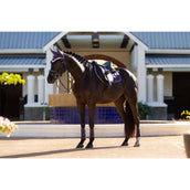 LeMieux Mantilla Merino Loire Classic saltando Juniper LeMieux Mantilla Merino Loire Classic saltando Juniper