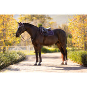 LeMieux Mantilla Loire Classic saltando Juniper LeMieux Mantilla Loire Classic saltando Juniper