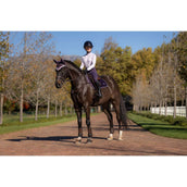 LeMieux Mantilla Loire Classic saltando Juniper LeMieux Mantilla Loire Classic saltando Juniper