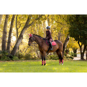 LeMieux Mantilla Loire Classic saltando Cranberry LeMieux Mantilla Loire Classic saltando Cranberry