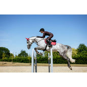 LeMieux Mantilla Loire Classic saltando Cranberry LeMieux Mantilla Loire Classic saltando Cranberry