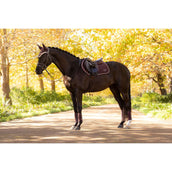 LeMieux Mantilla Loire Classic saltando Color ES: Ciruela LeMieux Mantilla Loire Classic saltando Color ES: Ciruela