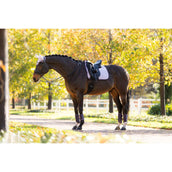 LeMieux Mantilla Suede Doma clásica Lilac LeMieux Mantilla Suede Doma clásica Lilac