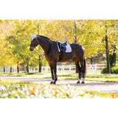 LeMieux Mantilla Suede Doma clásica Lilac LeMieux Mantilla Suede Doma clásica Lilac