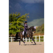 LeMieux Mantilla Suede Doma clásica Lilac LeMieux Mantilla Suede Doma clásica Lilac