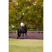 LeMieux Mantilla Loire Classic Doma clásica Juniper LeMieux Mantilla Loire Classic Doma clásica Juniper