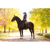 LeMieux Mantilla Loire Classic Doma clásica Color ES: Ciruela LeMieux Mantilla Loire Classic Doma clásica Color ES: Ciruela