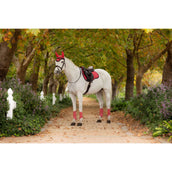 LeMieux Mantilla Loire Classic Propósito general Cranberry LeMieux Mantilla Loire Classic Propósito general Cranberry