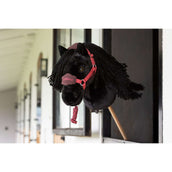 LeMieux Hobby Horse Halster Vogue Cranberry LeMieux Hobby Horse Halster Vogue Cranberry