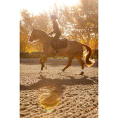 LeMieux Mantilla Essence saltando Negro LeMieux Mantilla Essence saltando Negro