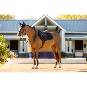 LeMieux Mantilla Essence saltando Negro LeMieux Mantilla Essence saltando Negro