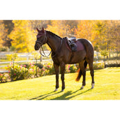 LeMieux Mantilla Essence saltando Color ES: Ciruela LeMieux Mantilla Essence saltando Color ES: Ciruela