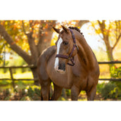 LeMieux Cabezada Essence Color ES: Ciruela LeMieux Cabezada Essence Color ES: Ciruela