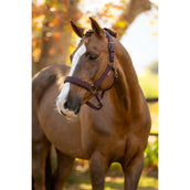 LeMieux Cabezada Essence Color ES: Ciruela LeMieux Cabezada Essence Color ES: Ciruela