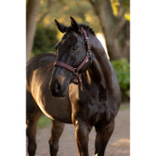 LeMieux Cabezada Essence Color ES: Ciruela LeMieux Cabezada Essence Color ES: Ciruela